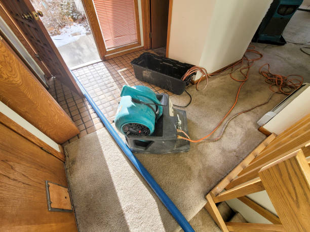 Best Water damage restoration experts  in North Springfield, VA
