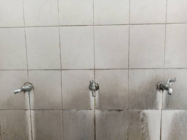 Best Mold removal after water damage  in North Springfield, VA
