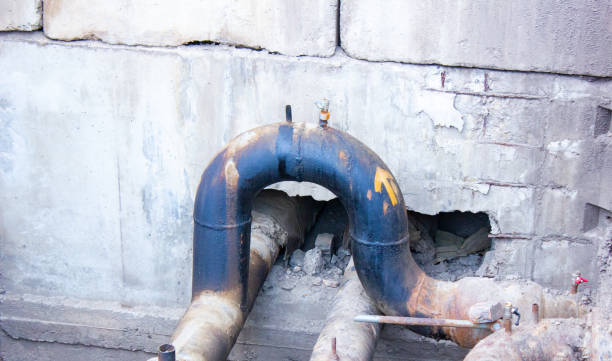 Best Water damage cleanup near me  in North Springfield, VA
